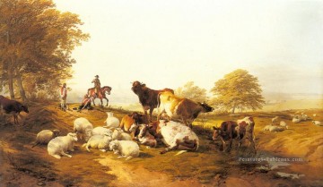  Animaux Tableaux - Bétail et moutons se reposant dans un paysage extensif